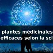 Les plantes médicinales les plus efficaces selon la science — illustration