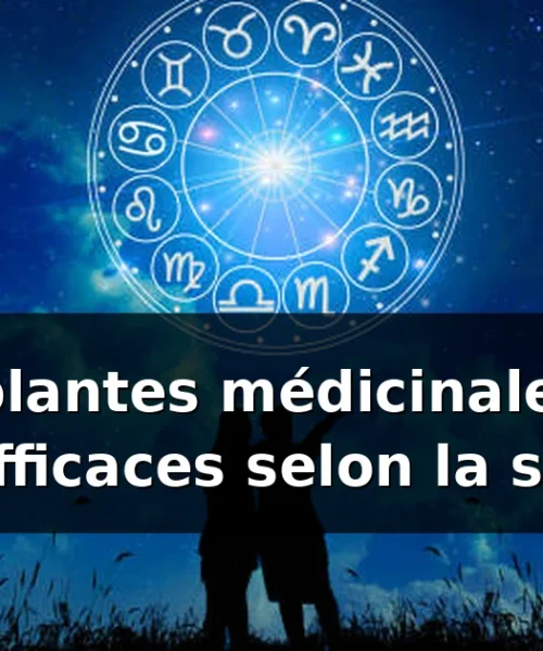 Les plantes médicinales les plus efficaces selon la science